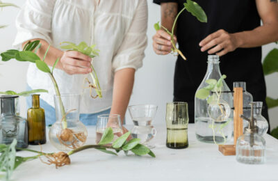 aromas estratégicos
