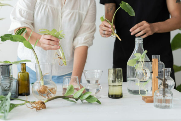 aromas estratégicos