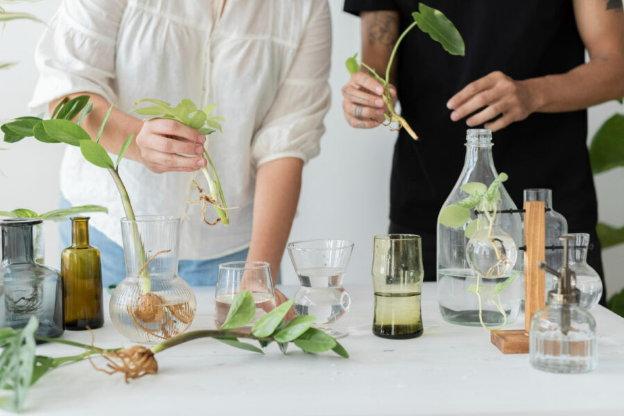 aromas estratégicos